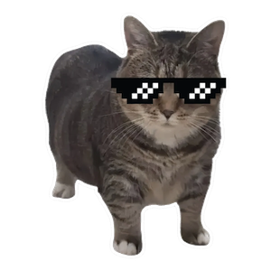 Cool Cat with Pixel Sunglasses